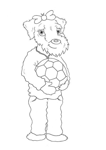 zenacolourpic dl